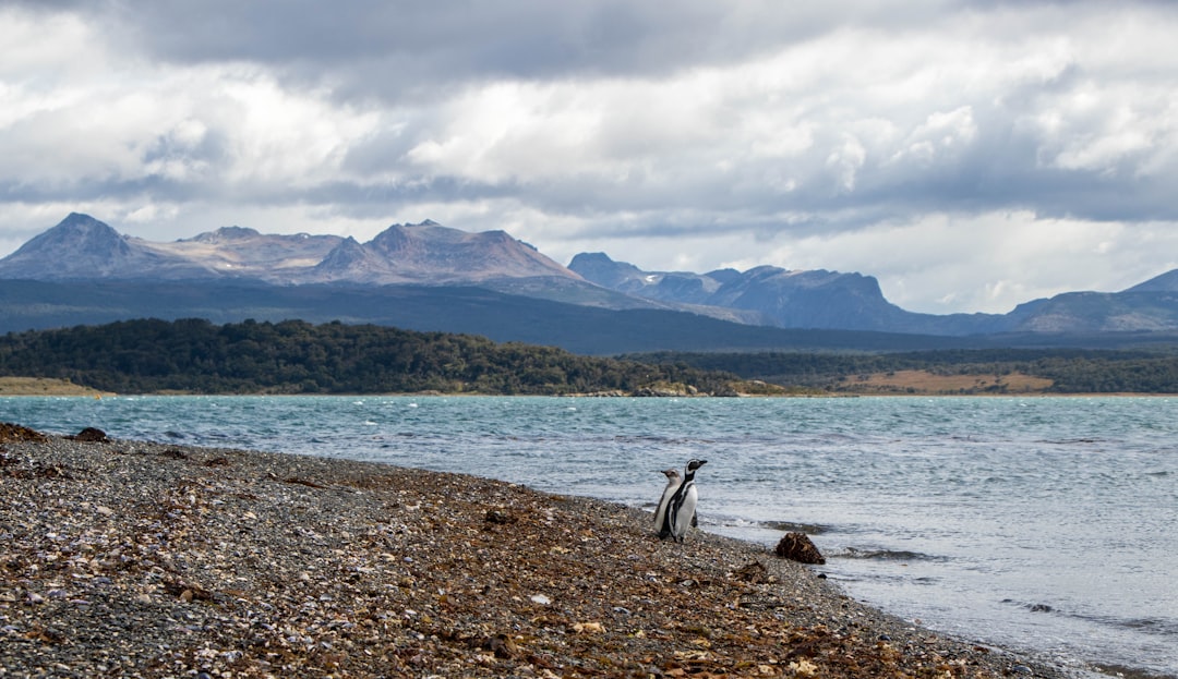Photo tierra del fuego