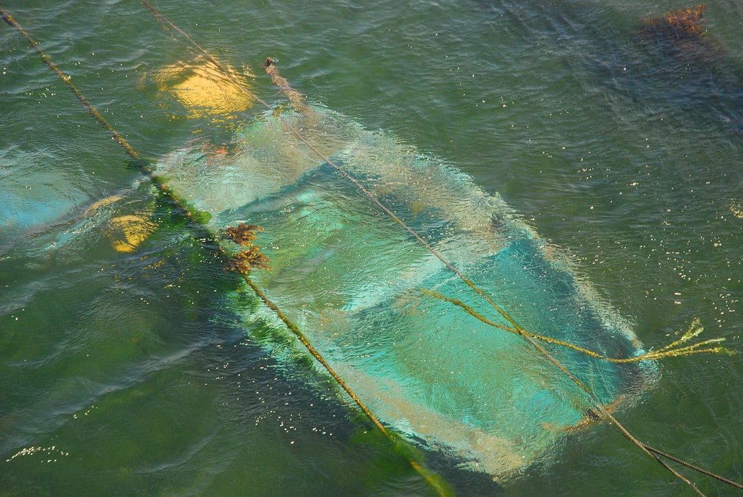 Photo ships sunk