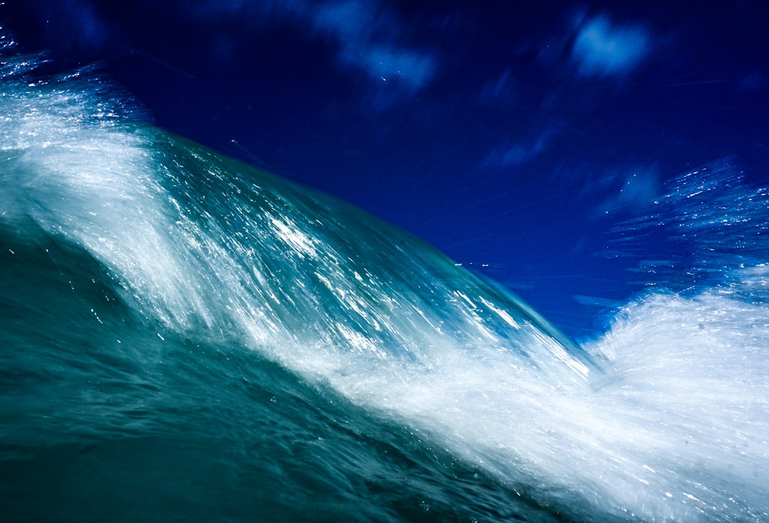 Photo wave forecast