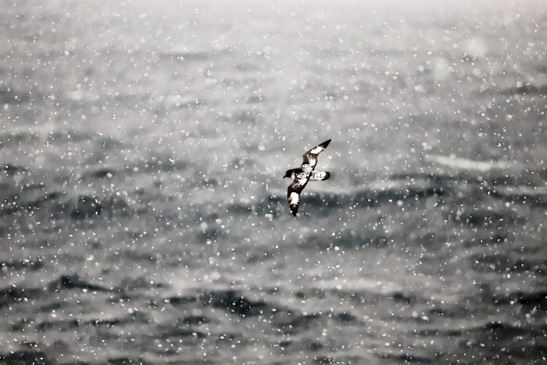 Photo drake passage