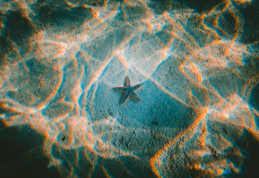 Photo ocean floor
