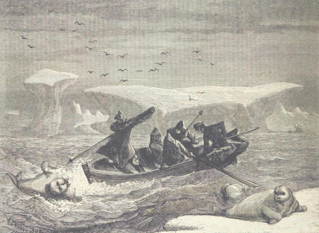 Photo drake passage terremoto