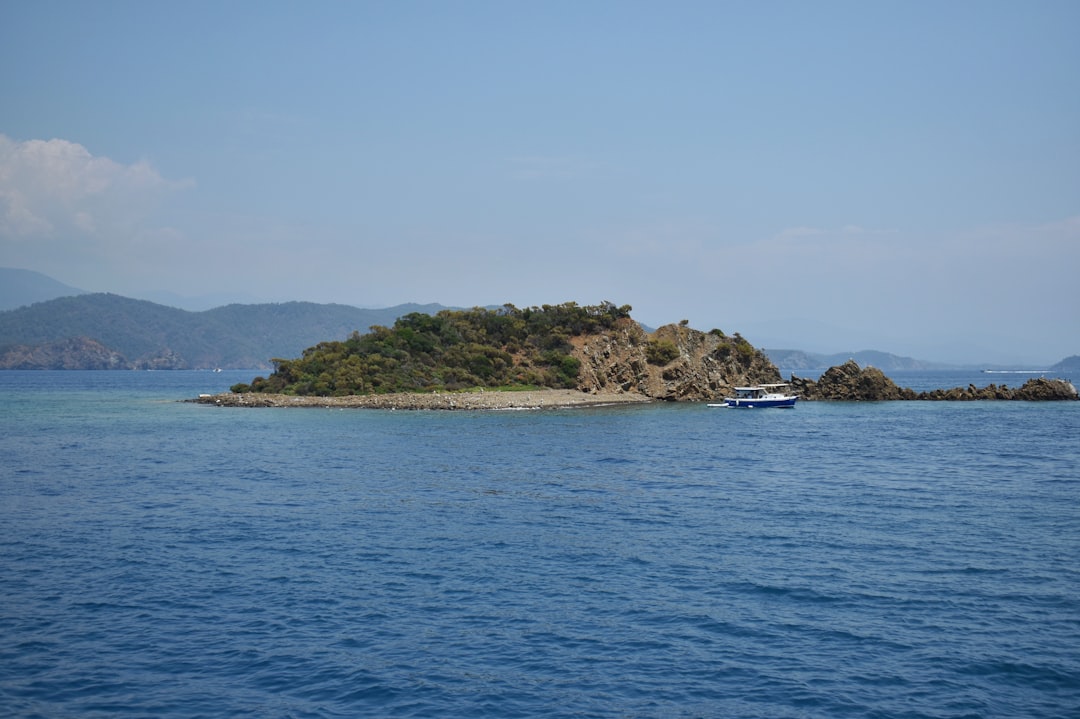 Photo elephant island