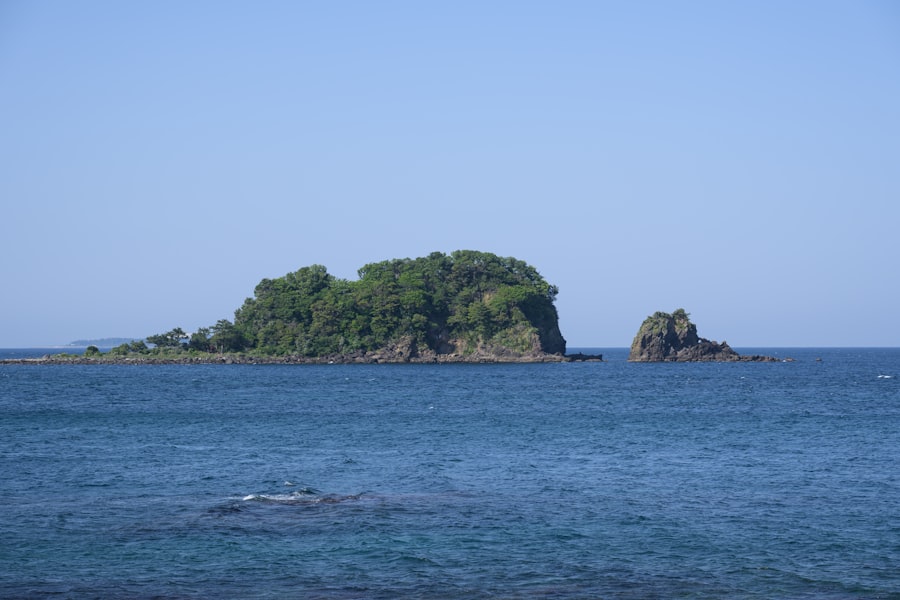 Photo elephant island