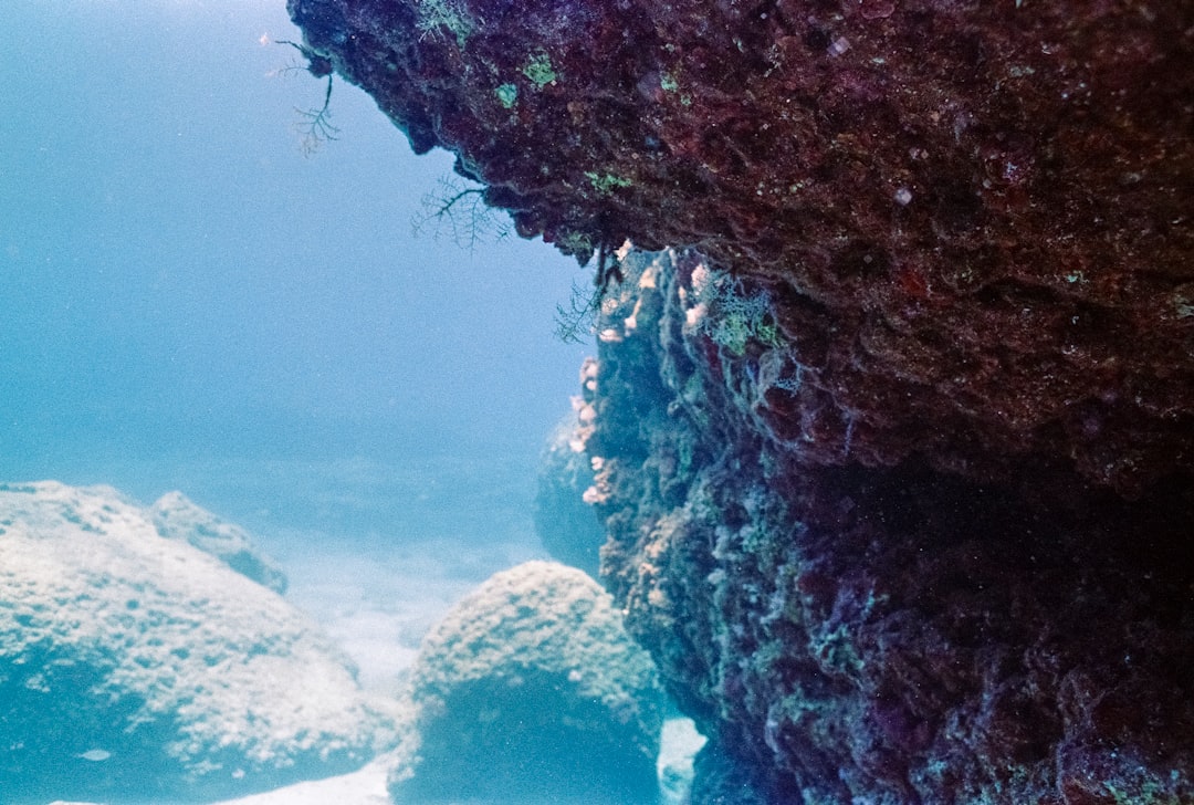 Photo underwater mountains