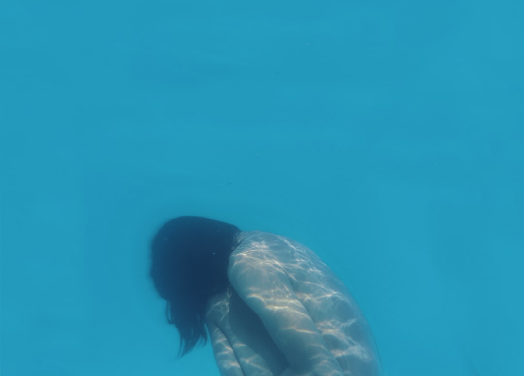 Photo drake passage swimming