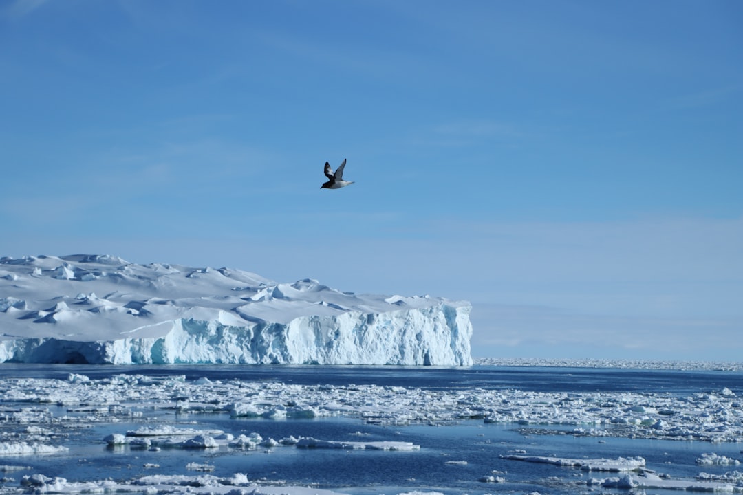 Photo Antarctica direct fly