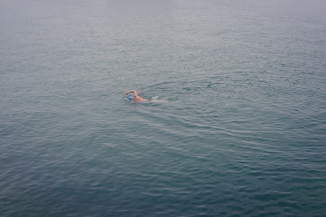 Photo drake passage swimming