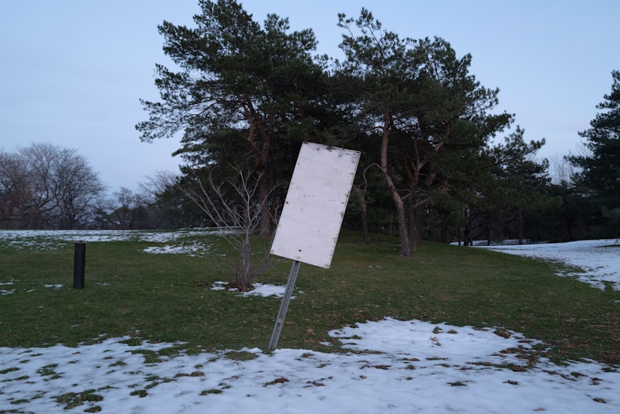Photo wind forecast