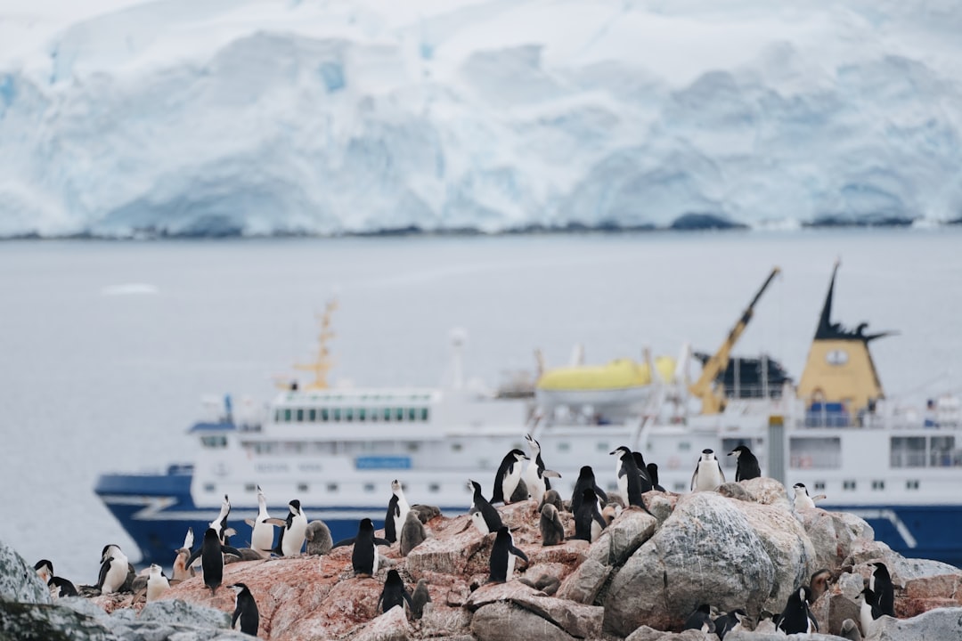 Photo antarctica cruise
