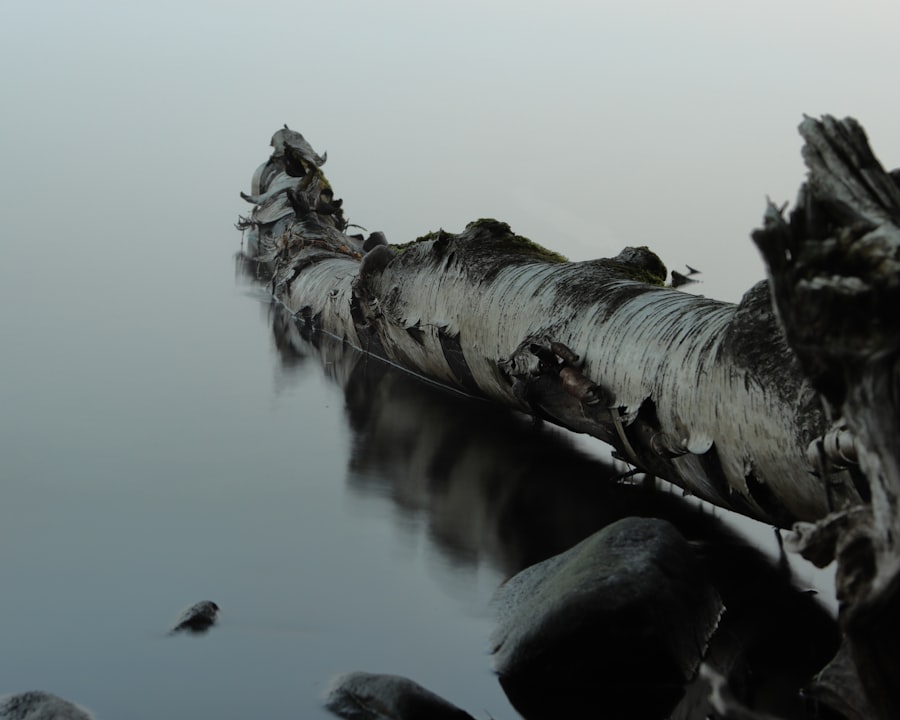 Photo drake passage wrecks