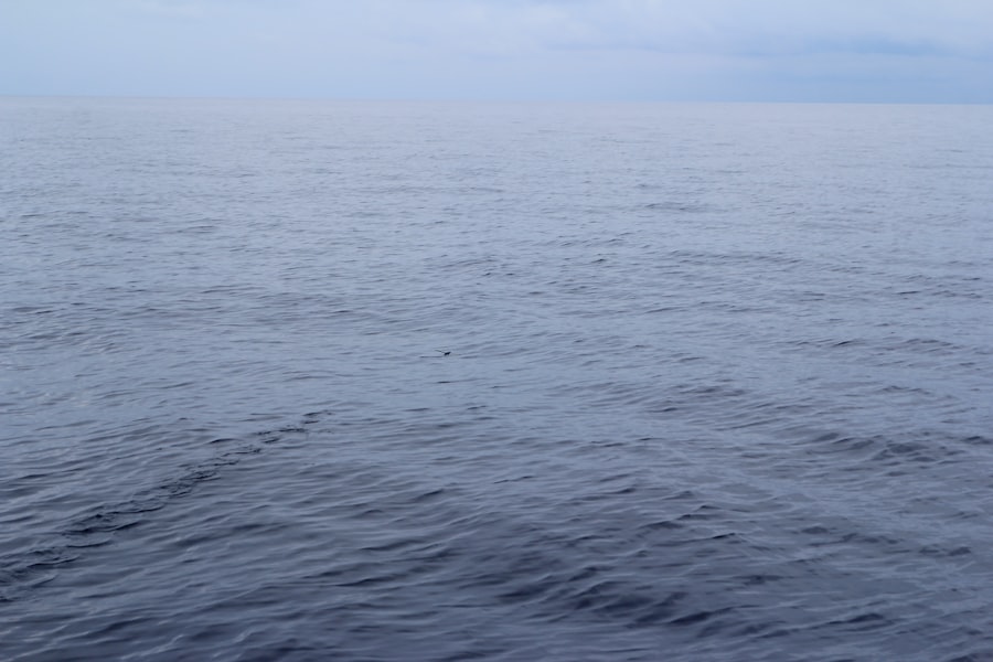Photo nuala moore drake passage