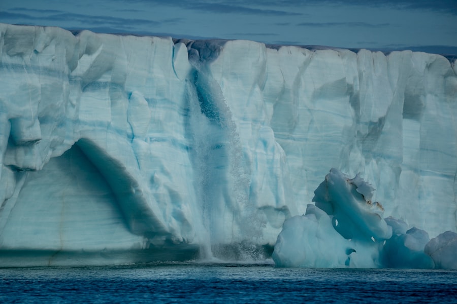 Photo drake passage viral video
