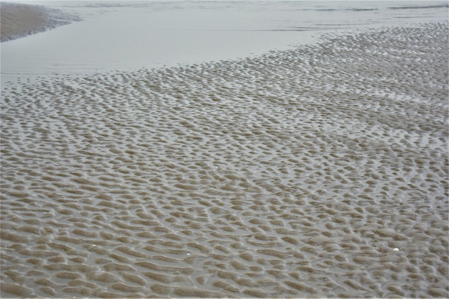 Photo tides