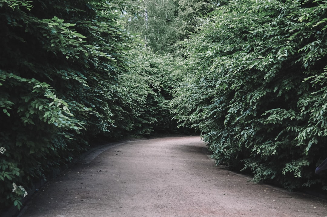 Photo strait vs passage