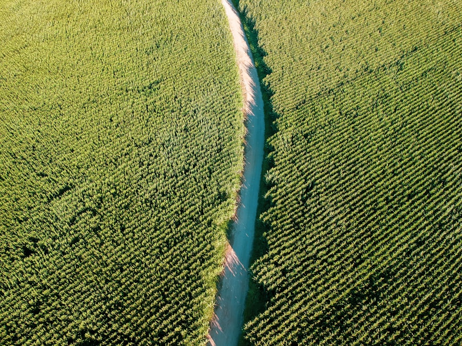 Photo strait vs passage