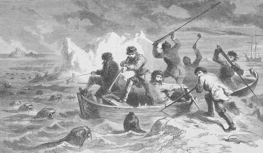 Photo survive, drake passage