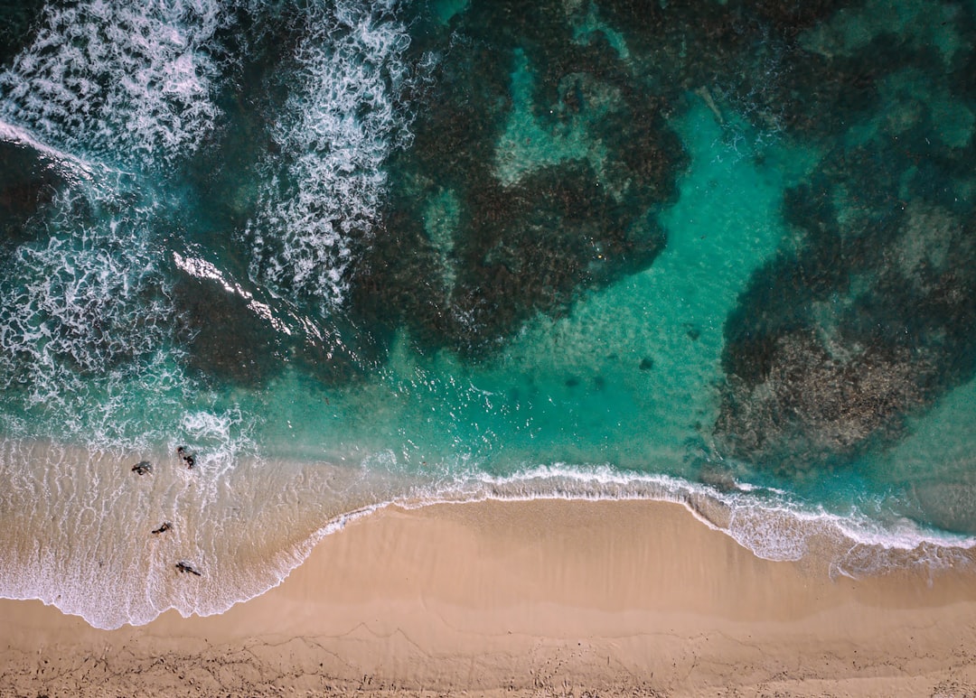 Photo ocean explorer