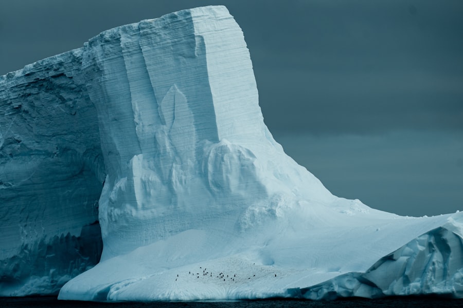 Photo antarctica cruise