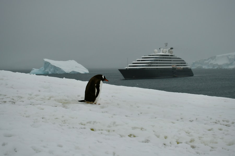 Photo antarctica cruise