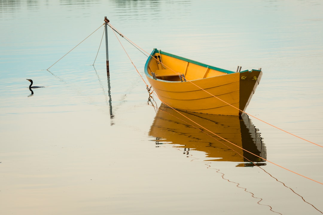 Photo boat