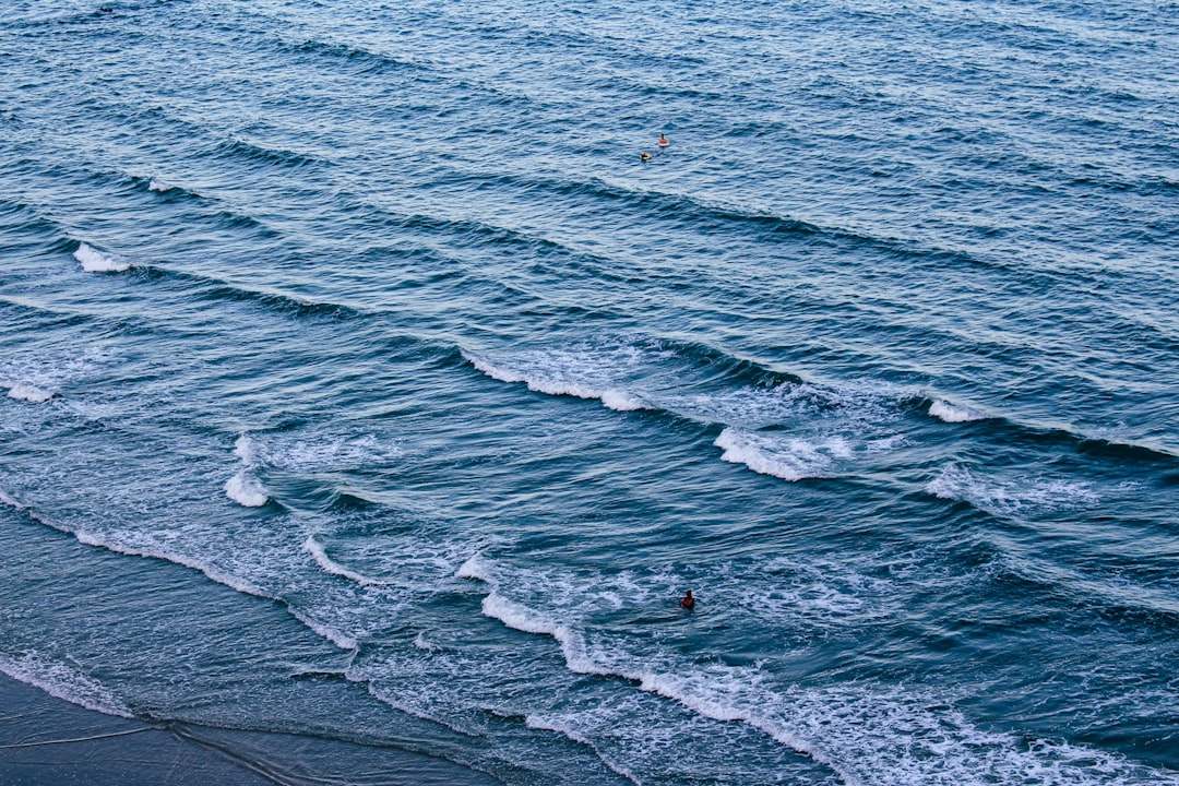 Photo swells