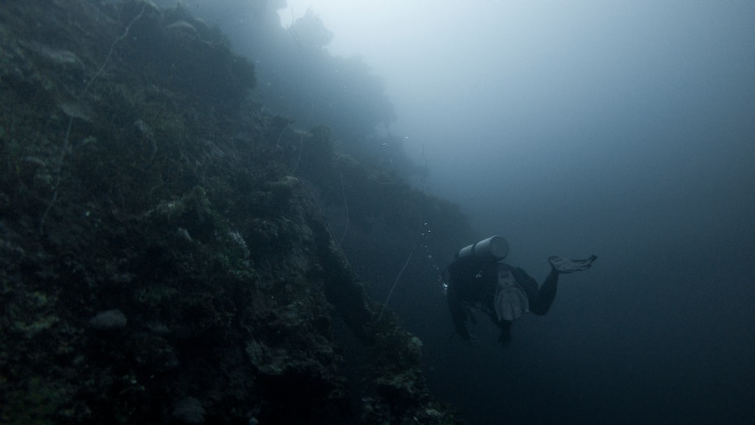 Photo dive, drake passage