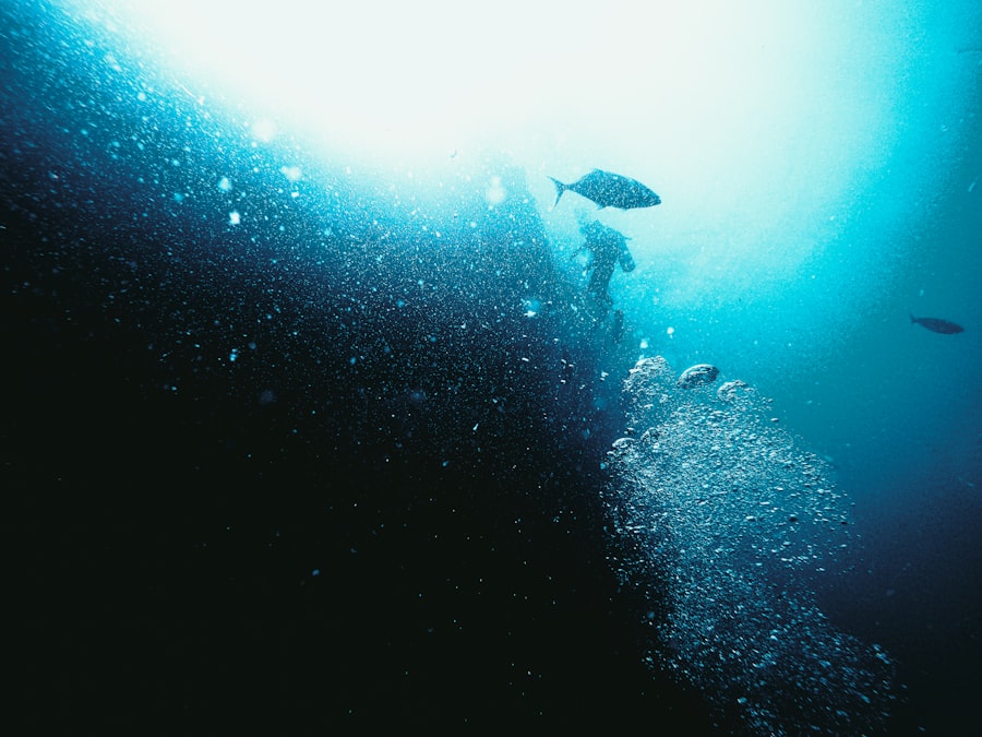 Photo dive, drake passage