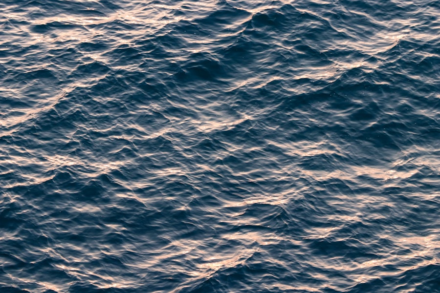 Photo Drakes Passage