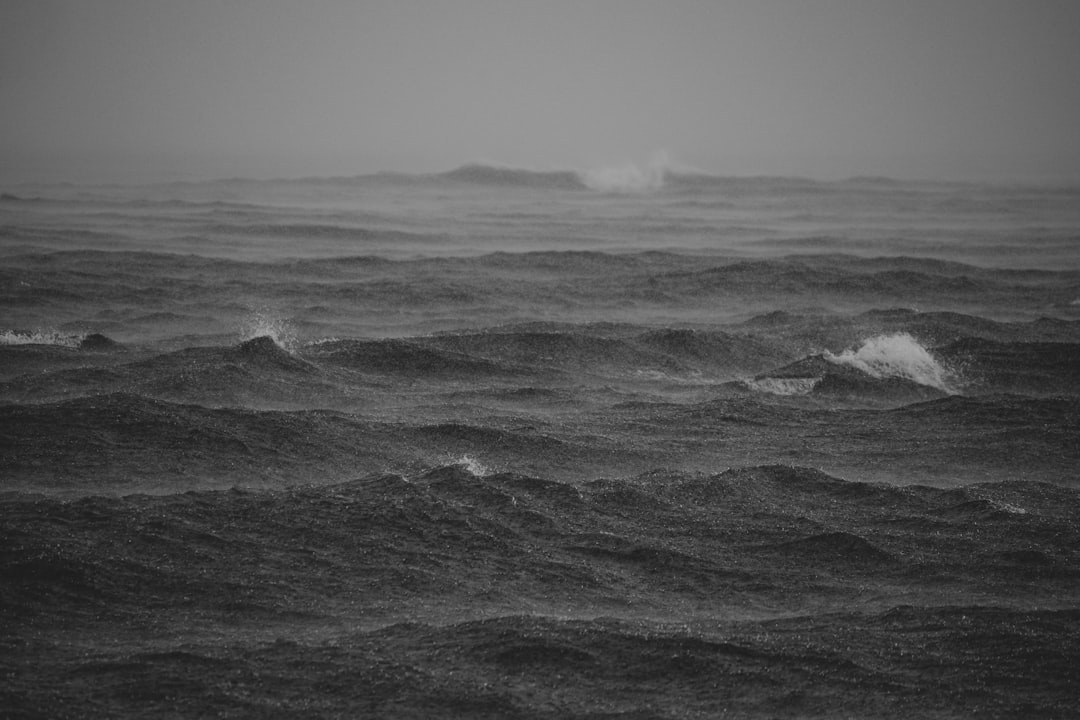 Photo Drakes Passage