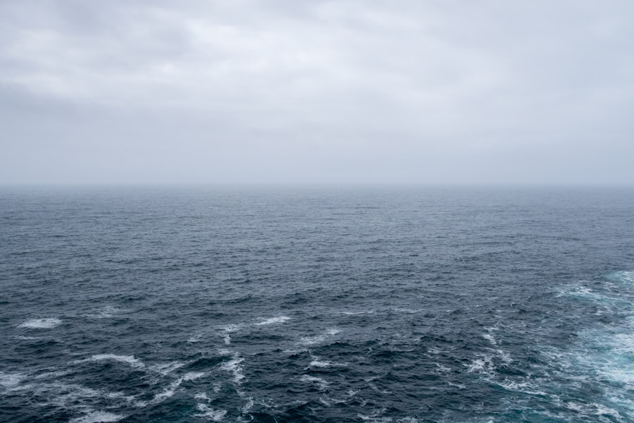 Photo bass strait vs drake passage