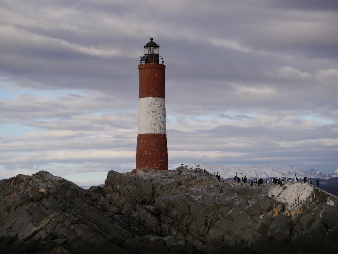 Photo beagle channel