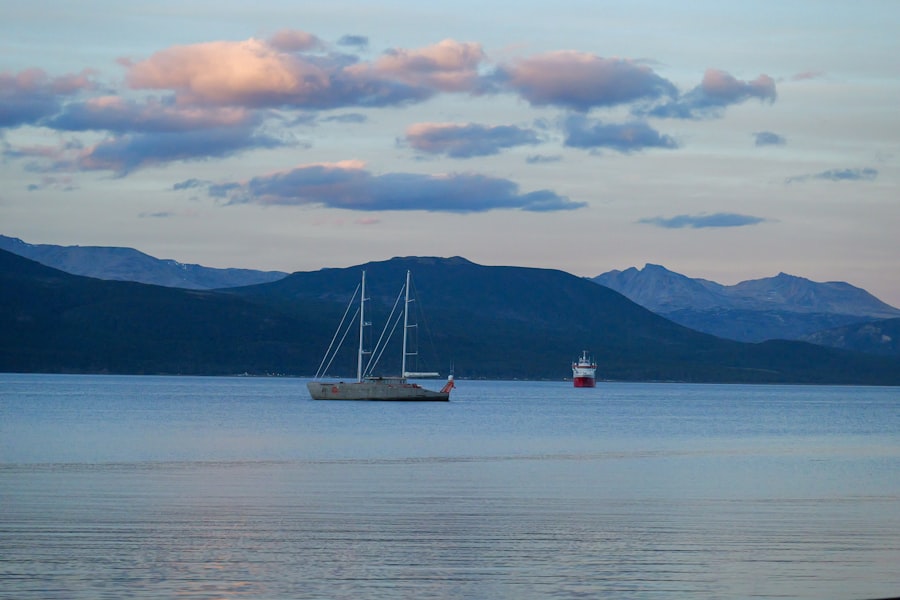 Photo beagle channel