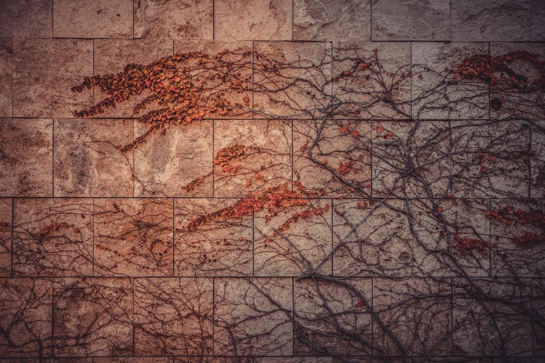 Photo drake passage map