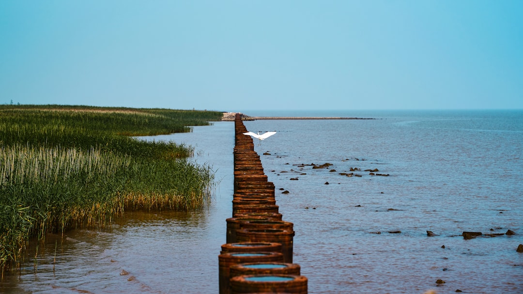 Photo sea levels