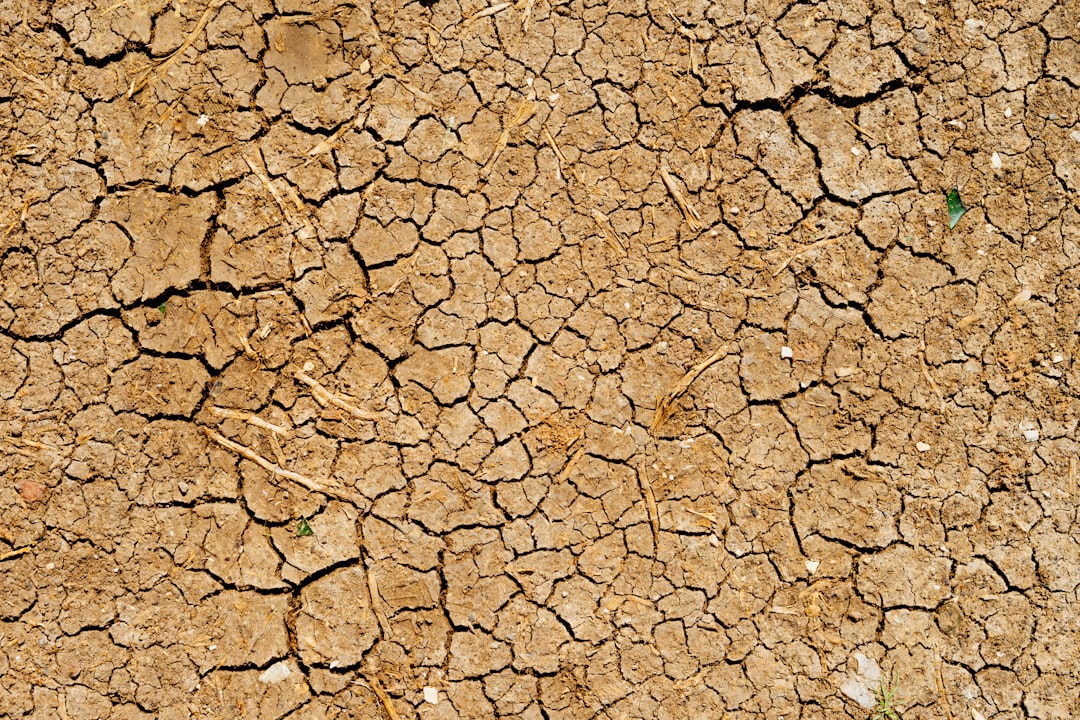 Photo climate adaptation strategies NYC