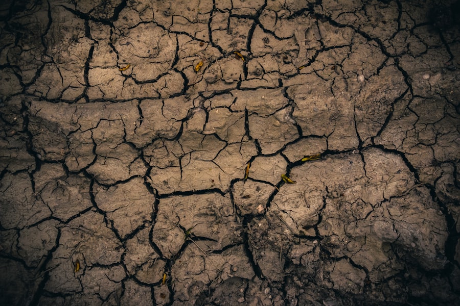 Photo climate adaptation strategies NYC