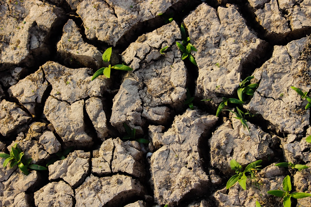 Photo climate change vulnerability