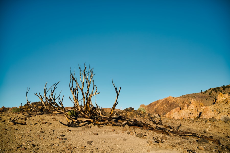 Photo climate change vulnerability