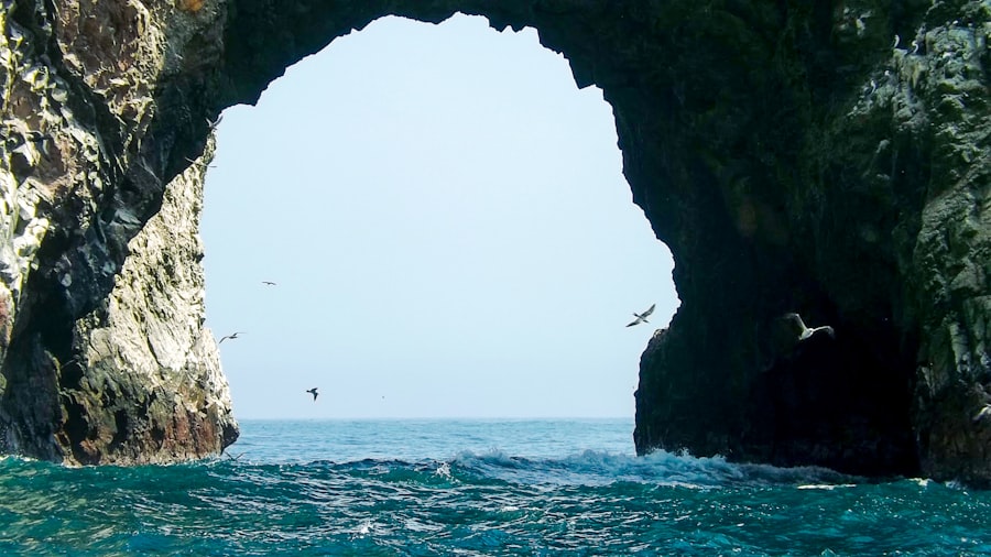 Photo g adventures drake passage