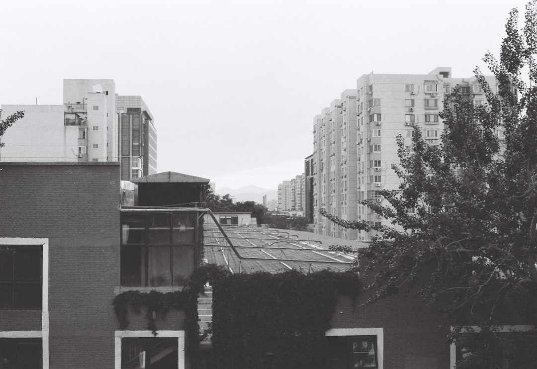 Photo real estate speculation NYC