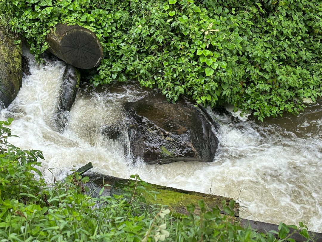 Photo Combined Sewer Overflow NYC