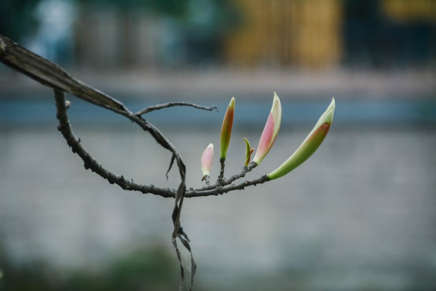 Photo fragile lifelines