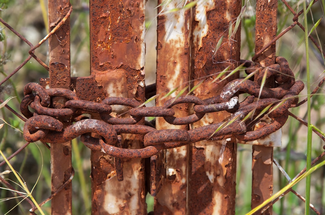 Photo Supply Chain Resilience