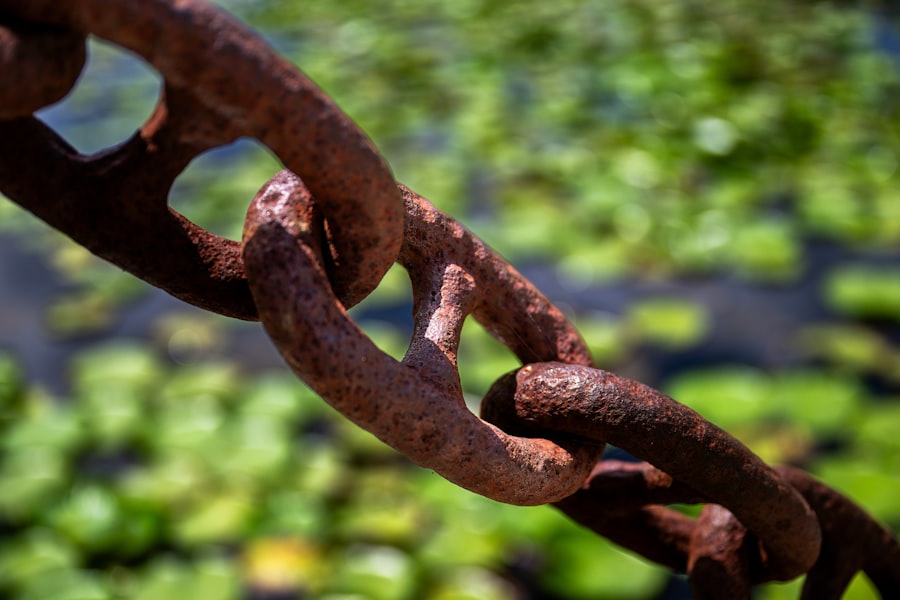 Photo Supply Chain Resilience