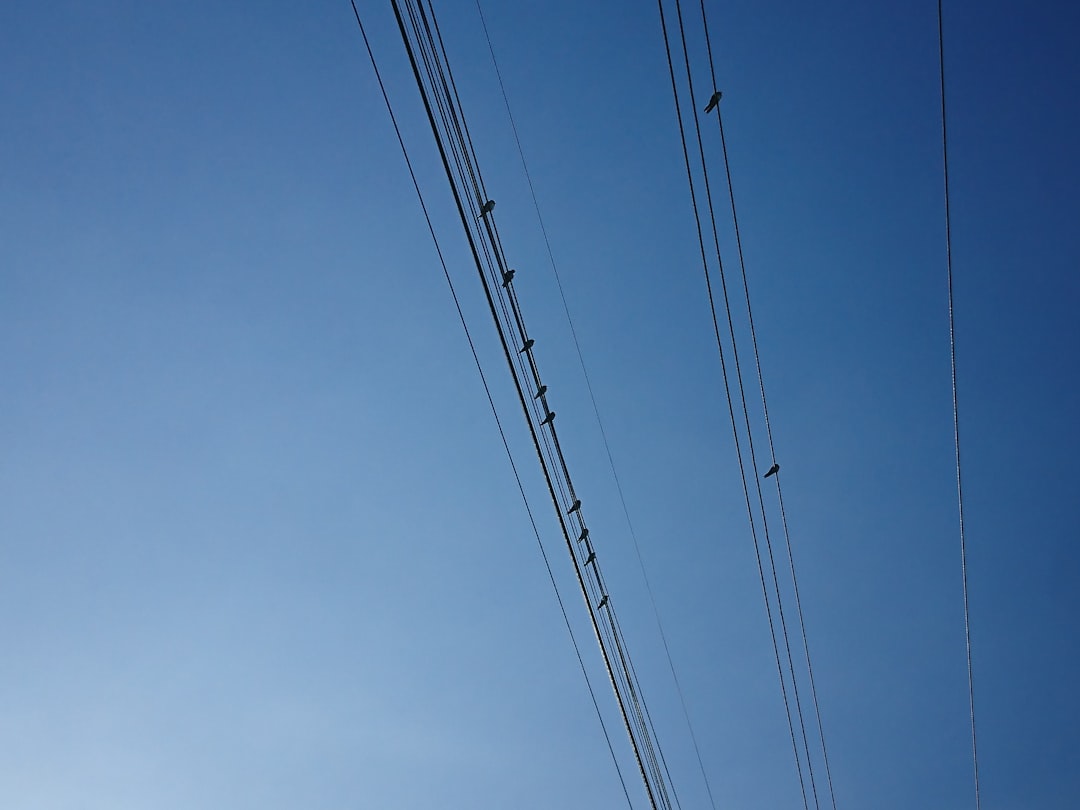 Photo supply line
