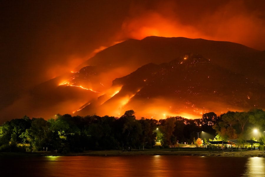 Photo climate change