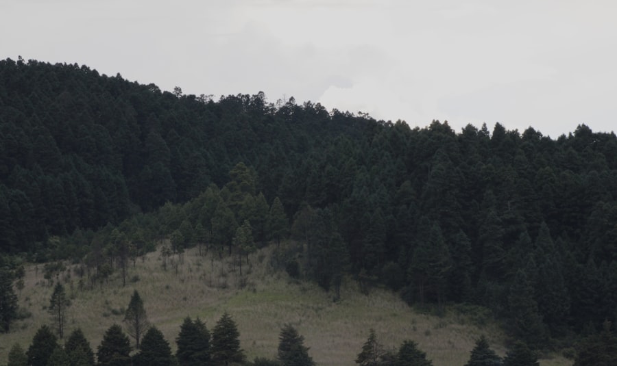 Photo armies, rocky mountains