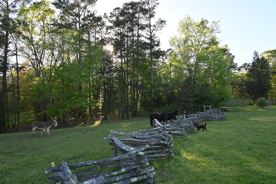 Photo military history Appalachian terrain