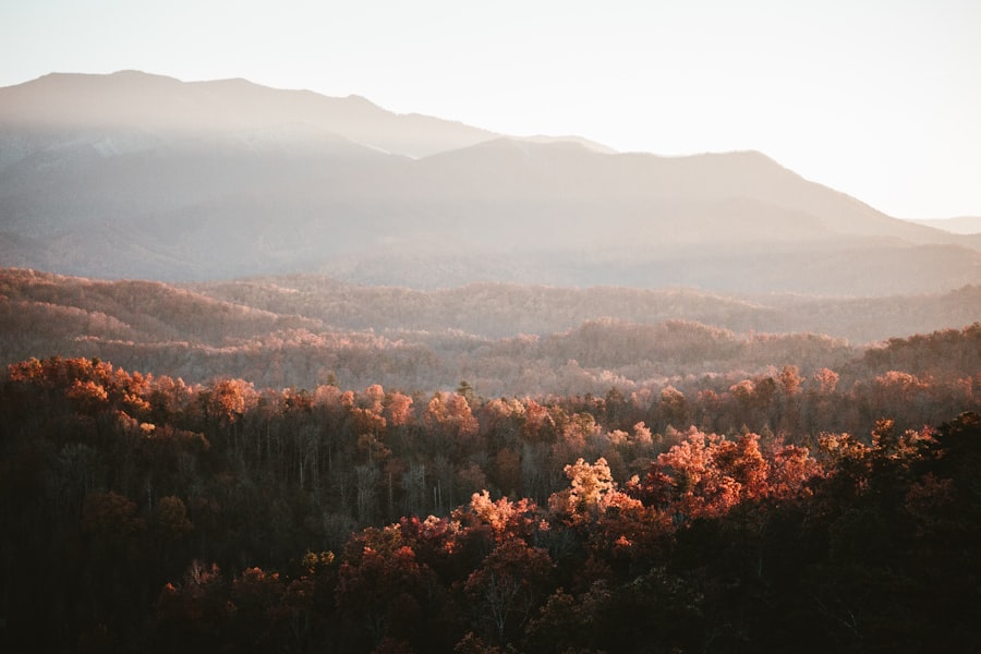 Photo appalachian mountains